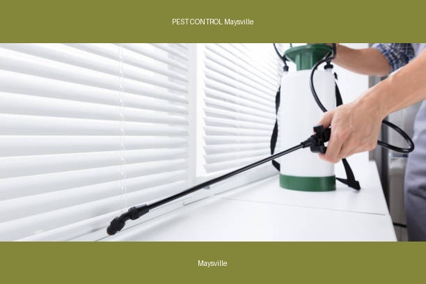 PEST CONTROL Maysville